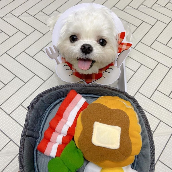 Interactive Dog Treat - Real Smells and Sounds Dog Toy