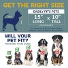 Katziela Pet Carrier - Airline Approved - TSA Approved Pet Carrier for Small Dogs and Cats - Soft FAA Travel Airplane Dog Carrier Luggage (Black/Red) - Image 2