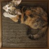Corrugated Cardboard Box Wear-resistant Cat Catching Toy - Image 7
